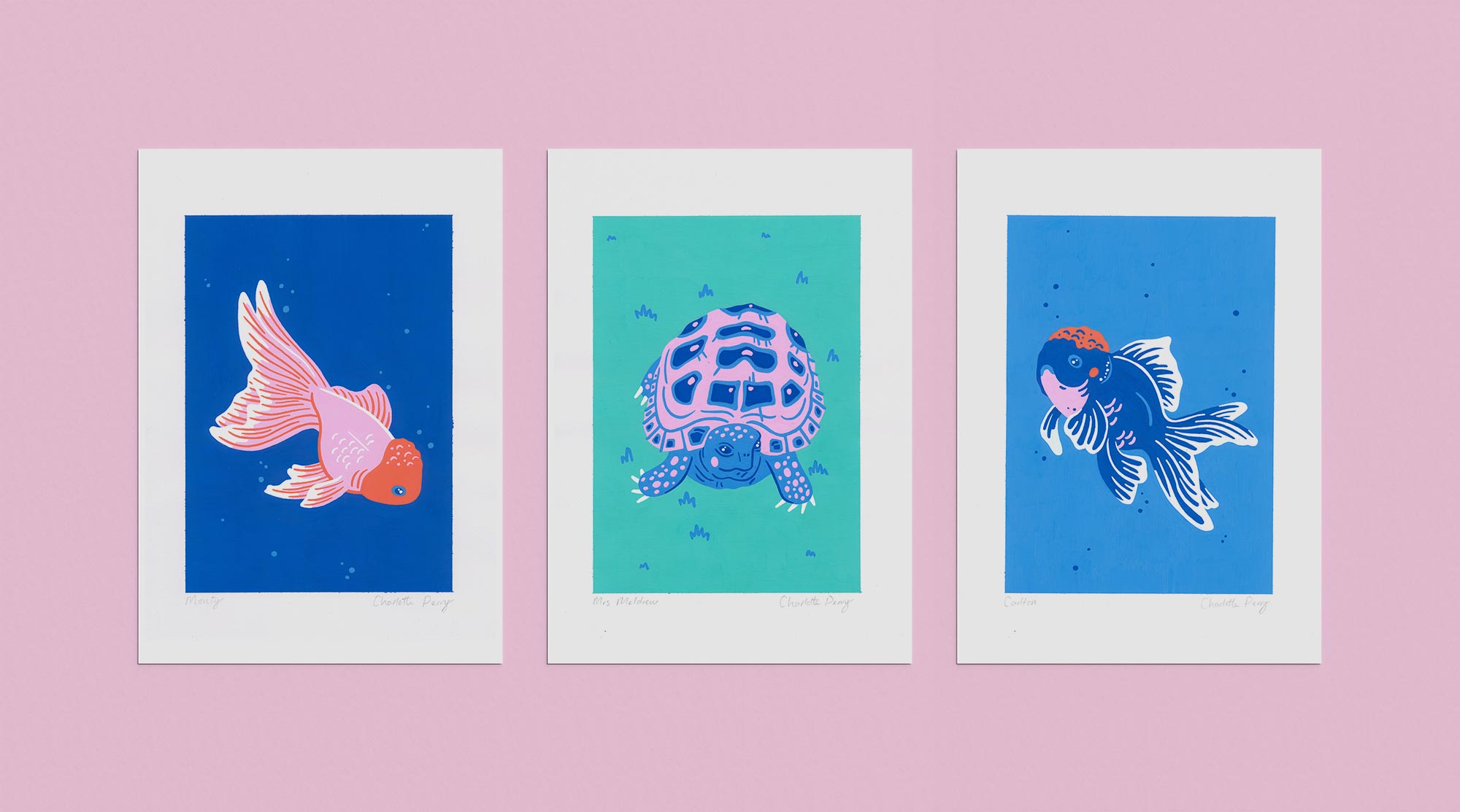 Three pet portraits of two fish and one tortoise